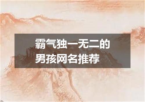 霸气独一无二的男孩网名推荐