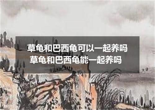 草龟和巴西龟可以一起养吗 草龟和巴西龟能一起养吗