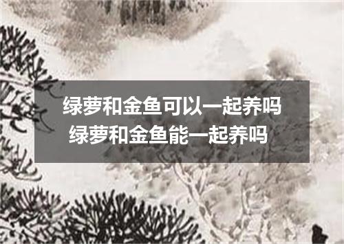 绿萝和金鱼可以一起养吗 绿萝和金鱼能一起养吗