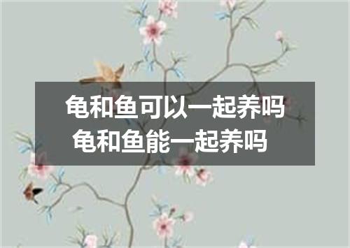龟和鱼可以一起养吗 龟和鱼能一起养吗