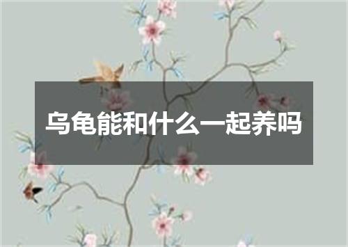 乌龟能和什么一起养吗