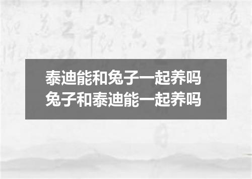 泰迪能和兔子一起养吗 兔子和泰迪能一起养吗
