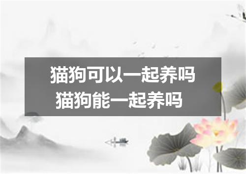 猫狗可以一起养吗 猫狗能一起养吗