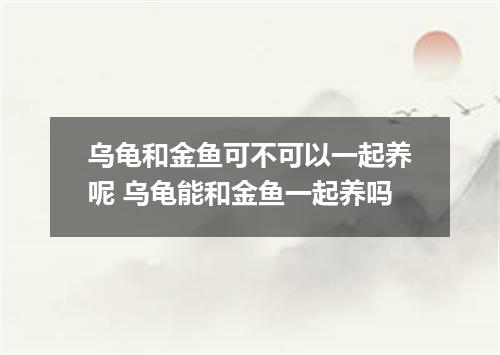 乌龟和金鱼可不可以一起养呢 乌龟能和金鱼一起养吗