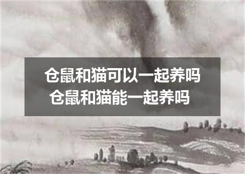 仓鼠和猫可以一起养吗 仓鼠和猫能一起养吗