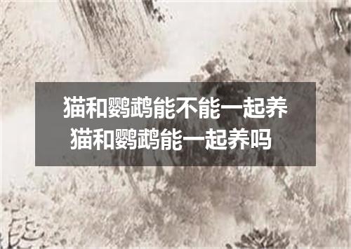 猫和鹦鹉能不能一起养 猫和鹦鹉能一起养吗