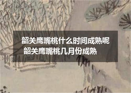 韶关鹰嘴桃什么时间成熟呢 韶关鹰嘴桃几月份成熟