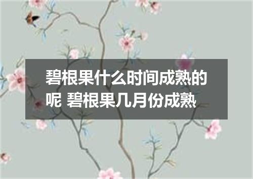 碧根果什么时间成熟的呢 碧根果几月份成熟