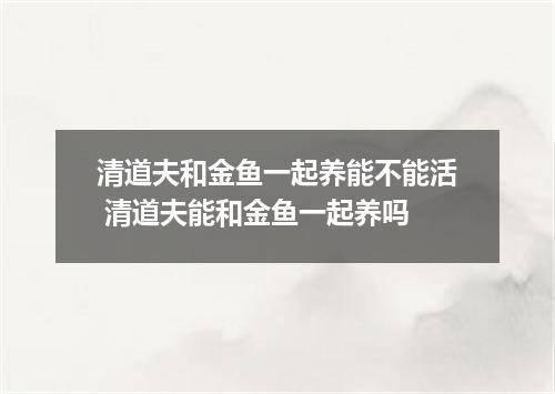 清道夫和金鱼一起养能不能活 清道夫能和金鱼一起养吗