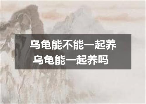 乌龟能不能一起养 乌龟能一起养吗