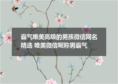 霸气唯美高级的男孩微信网名精选 唯美微信昵称男霸气