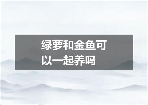绿萝和金鱼可以一起养吗