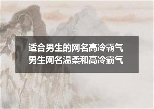 适合男生的网名高冷霸气 男生网名温柔和高冷霸气