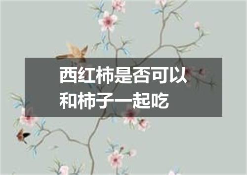 西红柿是否可以和柿子一起吃