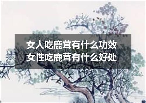 女人吃鹿茸有什么功效 女性吃鹿茸有什么好处