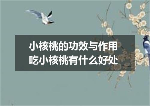 小核桃的功效与作用 吃小核桃有什么好处