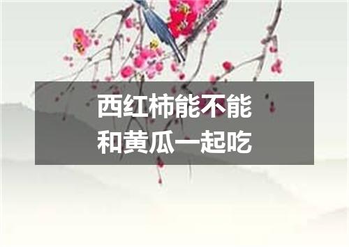 西红柿能不能和黄瓜一起吃
