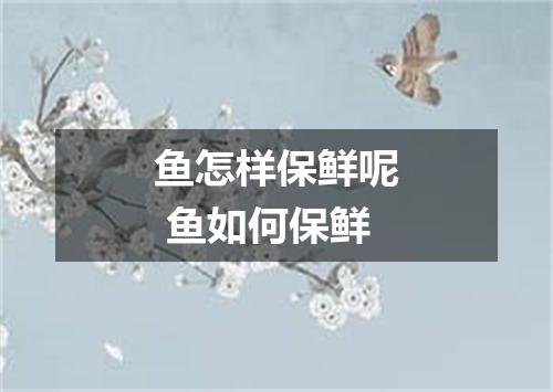 鱼怎样保鲜呢 鱼如何保鲜