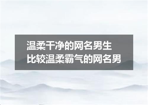 温柔干净的网名男生 比较温柔霸气的网名男