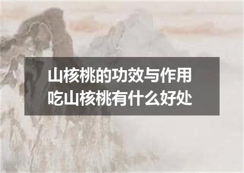 山核桃的功效与作用 吃山核桃有什么好处