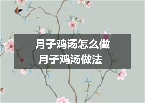 月子鸡汤怎么做 月子鸡汤做法