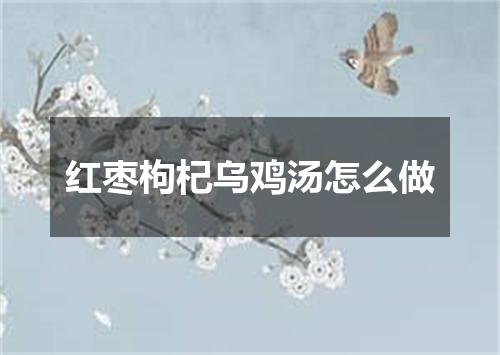 红枣枸杞乌鸡汤怎么做