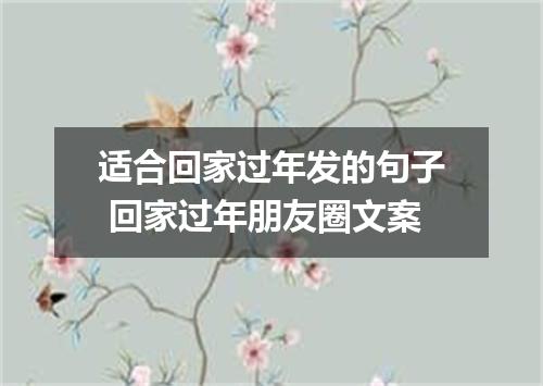 适合回家过年发的句子 回家过年朋友圈文案