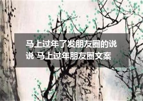 马上过年了发朋友圈的说说 马上过年朋友圈文案