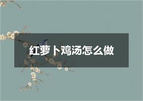 红萝卜鸡汤怎么做