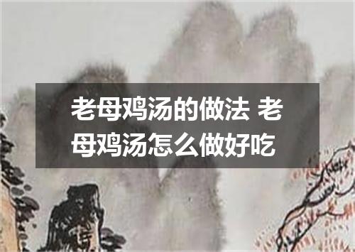 老母鸡汤的做法 老母鸡汤怎么做好吃