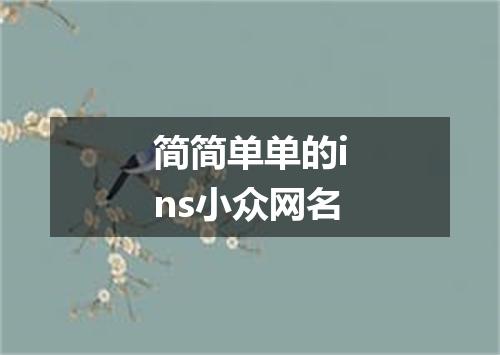简简单单的ins小众网名