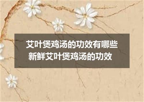 艾叶煲鸡汤的功效有哪些 新鲜艾叶煲鸡汤的功效