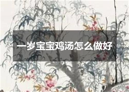 一岁宝宝鸡汤怎么做好