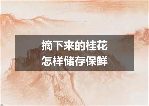 摘下来的桂花怎样储存保鲜