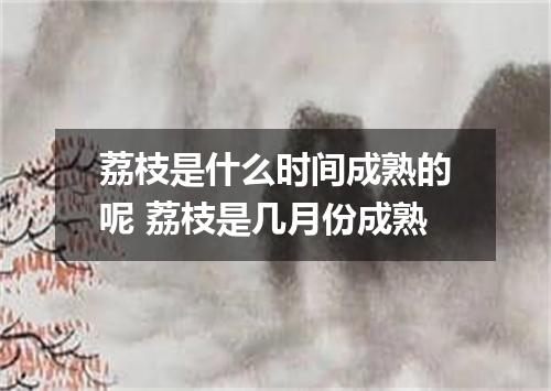 荔枝是什么时间成熟的呢 荔枝是几月份成熟