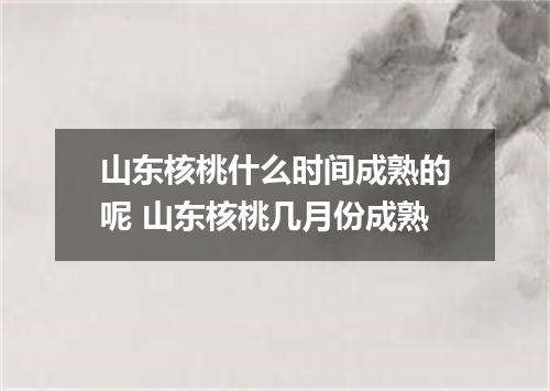 山东核桃什么时间成熟的呢 山东核桃几月份成熟