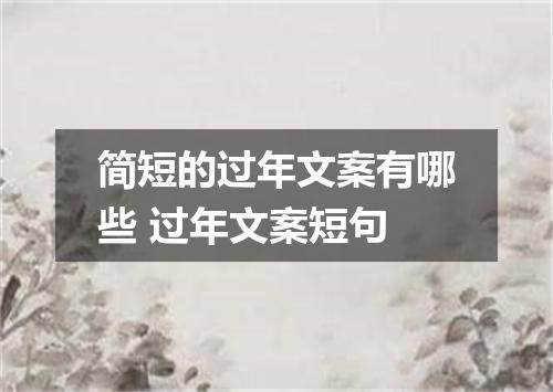 简短的过年文案有哪些 过年文案短句