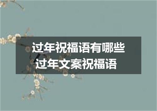 过年祝福语有哪些 过年文案祝福语