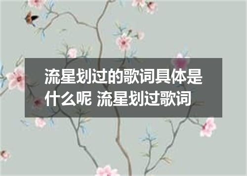 流星划过的歌词具体是什么呢 流星划过歌词