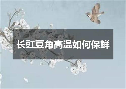 长豇豆角高温如何保鲜