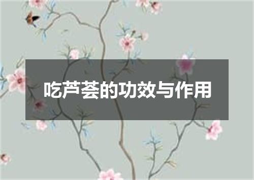 吃芦荟的功效与作用