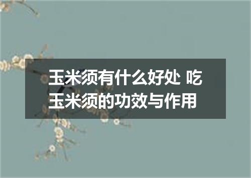 玉米须有什么好处 吃玉米须的功效与作用