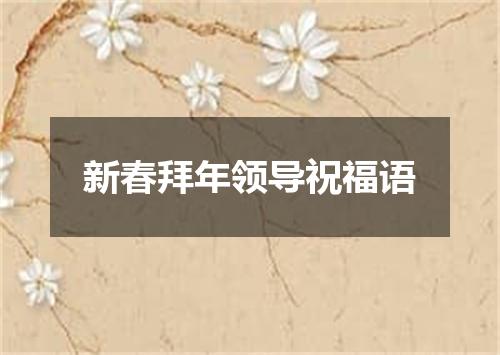 新春拜年领导祝福语