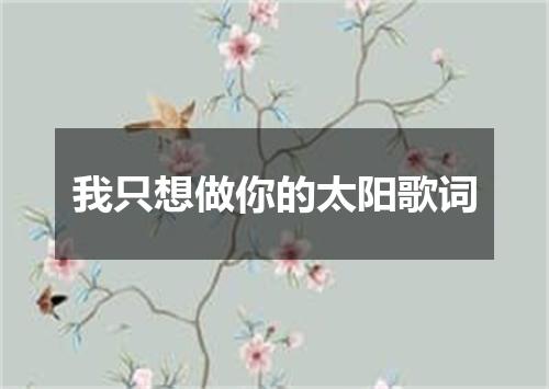 我只想做你的太阳歌词
