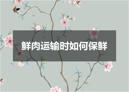 鲜肉运输时如何保鲜