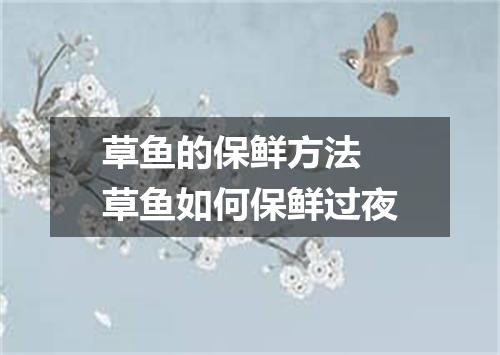 草鱼的保鲜方法 草鱼如何保鲜过夜