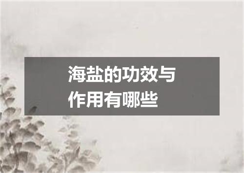 海盐的功效与作用有哪些