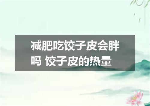 减肥吃饺子皮会胖吗 饺子皮的热量