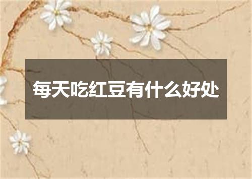 每天吃红豆有什么好处