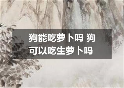 狗能吃萝卜吗 狗可以吃生萝卜吗